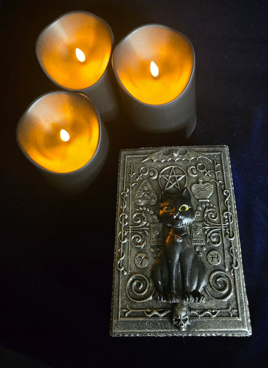Cat Tarot Box