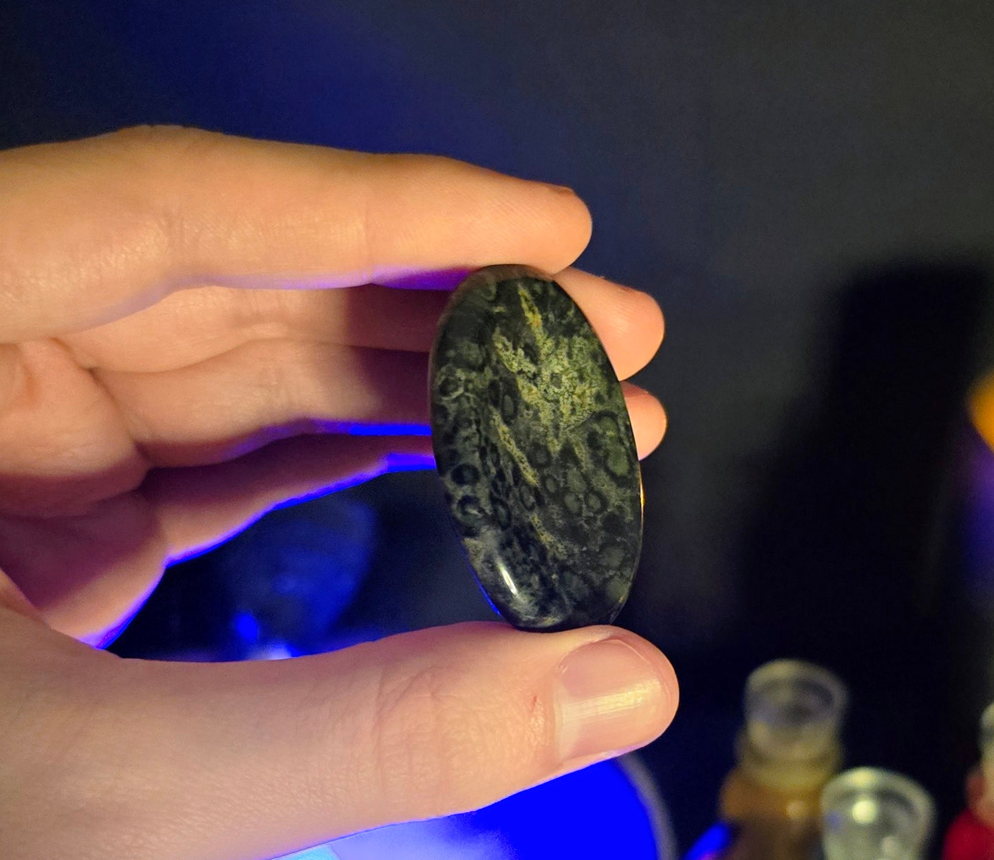 Kambaba Jasper Worry Stone– Earth’s Memory, Ancestral Peace, and Grounded Renewal
